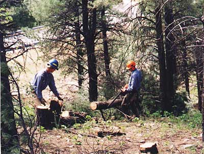 Fire-hazard reduction projects ©  http://www.fs.fed.us/r3/coconino/SYVP/SYVP_photos.shtml